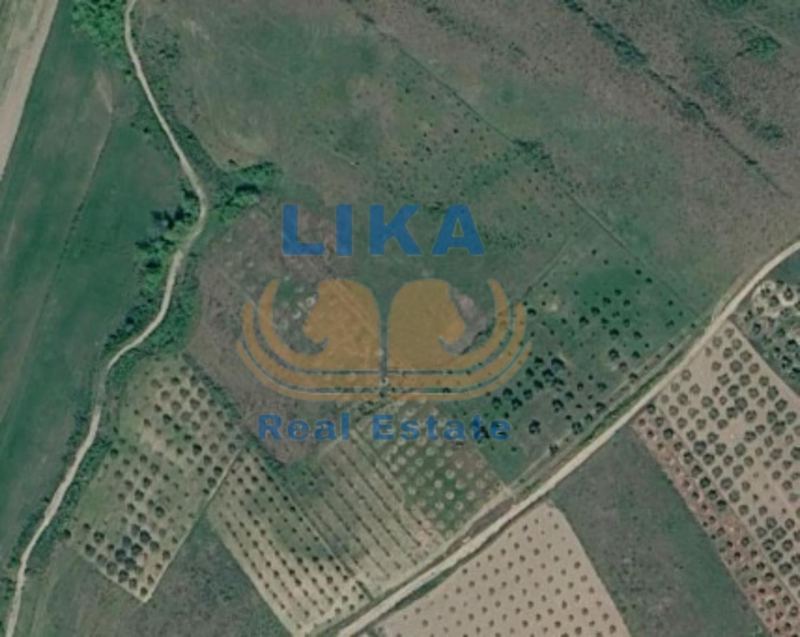 Shitet tokë arë me sipërfaqe totale prej 20,000 m² në Mamzotaj, Kavajë.