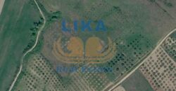 Shitet tokë arë me sipërfaqe totale prej 20,000 m² në Mamzotaj, Kavajë. | LIKA REAL ESTATE
