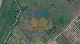 Shitet tokë arë me sipërfaqe totale prej 20,000 m² në Mamzotaj, Kavajë. | LIKA REAL ESTATE