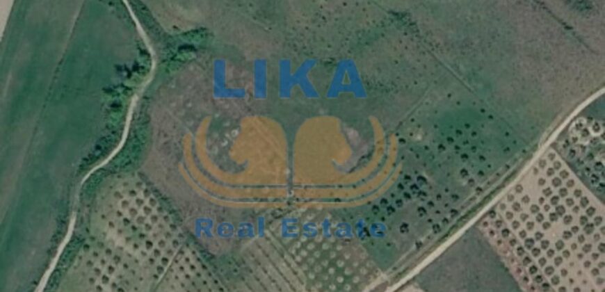 Shitet tokë arë me sipërfaqe totale prej 20,000 m² në Mamzotaj, Kavajë. | LIKA REAL ESTATE